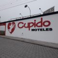 cupido-120x120