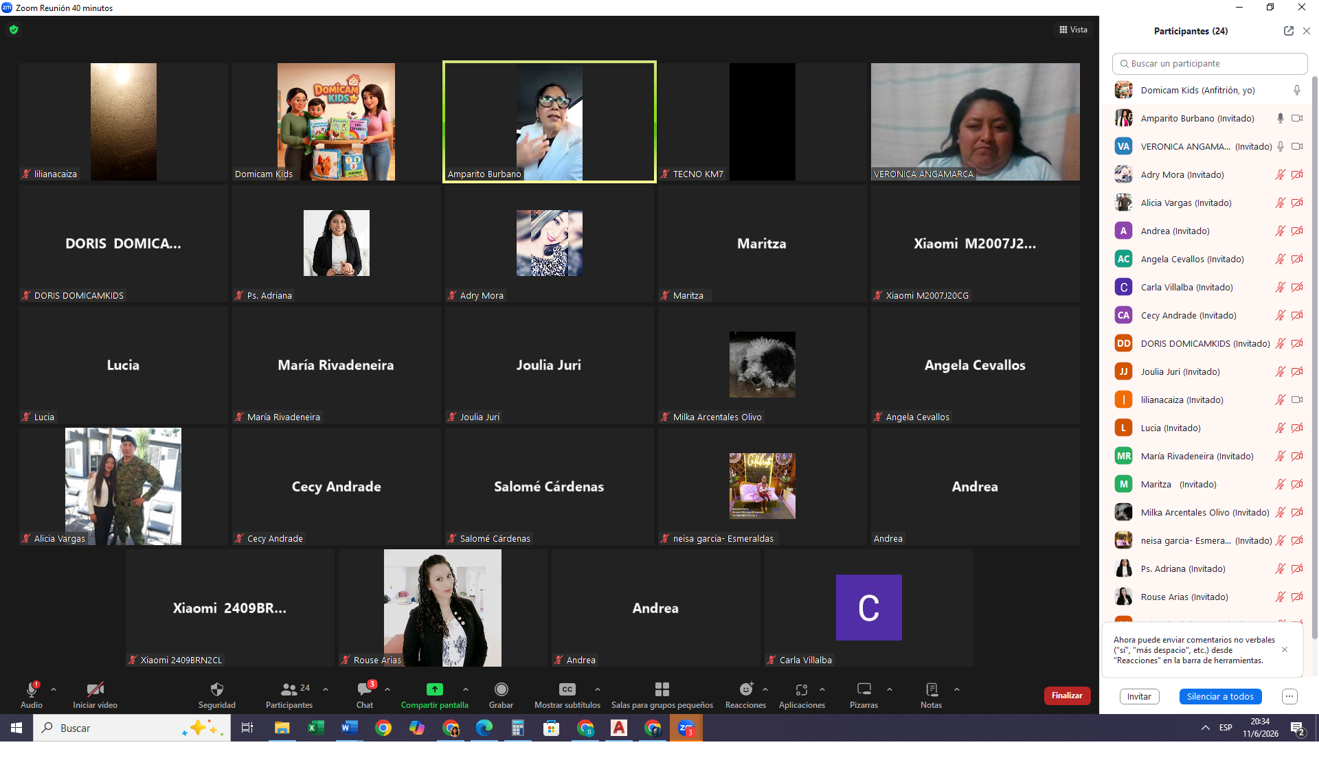 fondo Domicam (2)